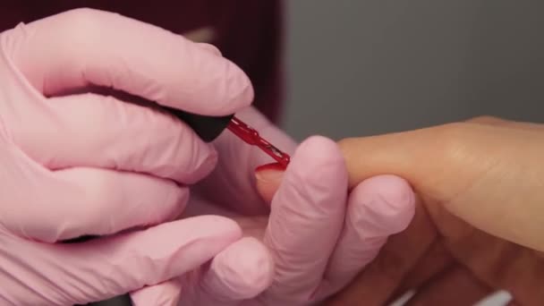 Manicure poetst nagels met een klant in een schoonheidssalon. — Stockvideo