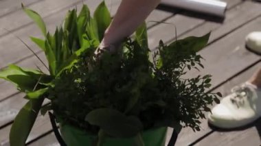 Düğün dekorasyonu için taze çiçekler ve yeşillik..