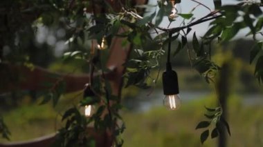 Çıkış kaydında süslü kemer var. Dekor çıkış kaydı doğada