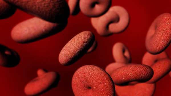 Large blood cells infected with a virus in the human body.