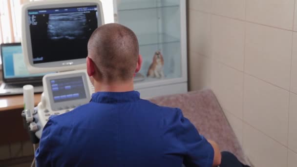 Medico che fa ecografia al centro medico. — Video Stock