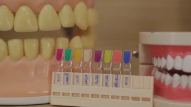 Diş muayenehanesinde güzel yapay dişler..