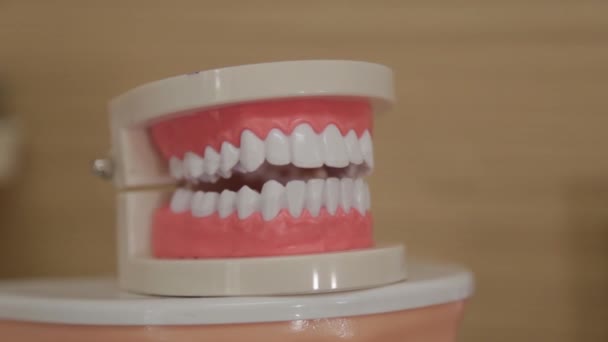 牙科诊所里漂亮的人造牙. — 图库视频影像