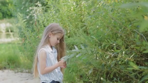 Uma linda rapariga está ao pé dos arbustos verdes. Retrato de uma menina. — Vídeo de Stock