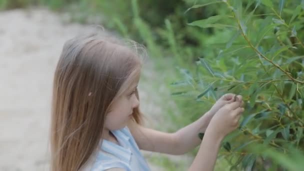 En vacker flicka står vid de gröna buskarna. Porträtt av en liten flicka. — Stockvideo