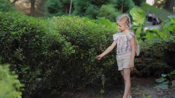 Beautiful girl walks by the green bush. — Stock Video