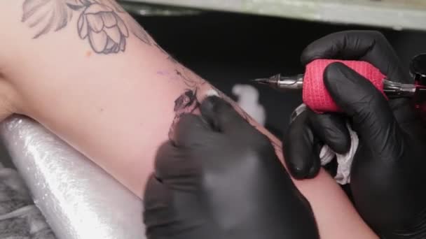 Татуировщик делает татуировку на руке девушки. — стоковое видео