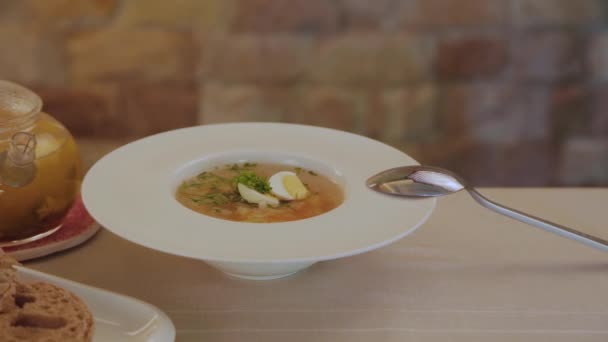 Soupe fraîche aux légumes, œufs et viande dans une assiette blanche. — Video