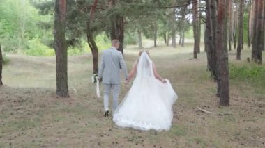 Çok güzel gelin ve damat yazın ormanda yürüyor..