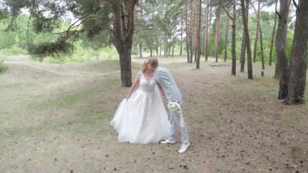 Novia y novio muy bellos están caminando en el bosque en verano. — Vídeos de Stock