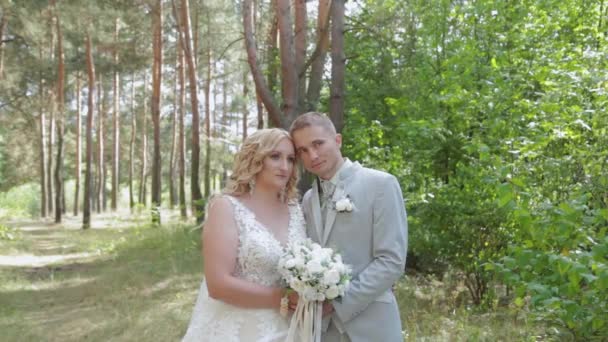 Linda noiva e noivo abraçando e beijando na floresta de verão. — Vídeo de Stock