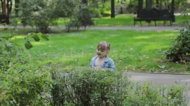 Klein mooi meisje bij de groene struik. — Stockvideo