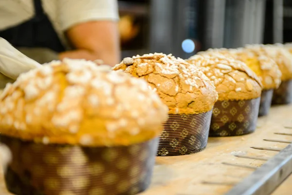 Profesyonel mutfakta pasta şefi Noel zamanı Milano panettone hazırlıyor ve pişiriyor. Panettone, Milano, Lombardiya İtalya 'dan meyveli şekerli ekmek keki.