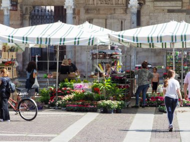 Cremona, İtalya - 3 Eylül 2025 'te Cremona İtalya' nın Tarihi Kent Merkezi 'nde Alışveriş ve Tedarikçilerle Açık Hava Yaz Çiçeği Piyasası Hareketi