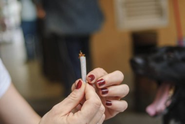 Arka planda siyah bir köpek olan, yanan uçlu rulo sigara tutan birinin ellerini yakın.