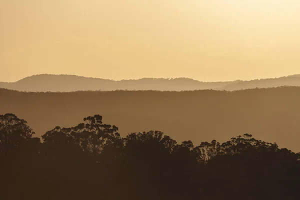 Apus Soare Frumos Deasupra Coastei Soarelui Situat Mapleton Falls Qld — Fotografie, imagine de stoc