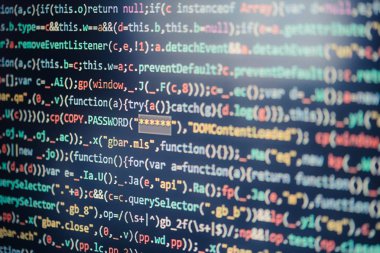 Program kodu, Web sitesi geliştirme, uygulama bina, parola ve özel veri görüntüleyen bilgisayar ekranı. Bilgi, gizli kişisel veri erişimi sağlar. Son dakika koruma. Kimlik çalmak. Yazılım çatlamak