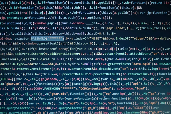 Computerbildschirm Mit Programmcode Website Entwicklung Anwendungsentwicklung Passwort Und Privaten Daten — Stockfoto