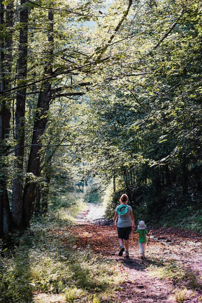 Οικογένεια Περπατώντας Μέσα Από Δάσος Δαπάνες Διακοπές Για Περιπλάνηση Στα — Φωτογραφία Αρχείου