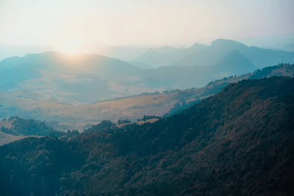 River Valley Bergslandskap Vacker Natur Före Solnedgången Dunajec Floden Vid — Stockfoto