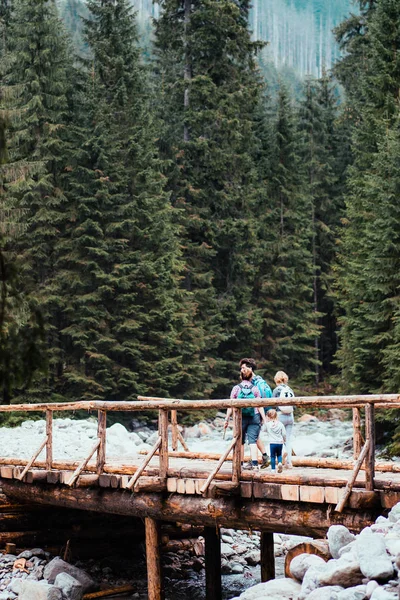 Familie Lopen Een Houten Brug Een Bergstroom Vakantie Doorbrengen Het — Stockfoto