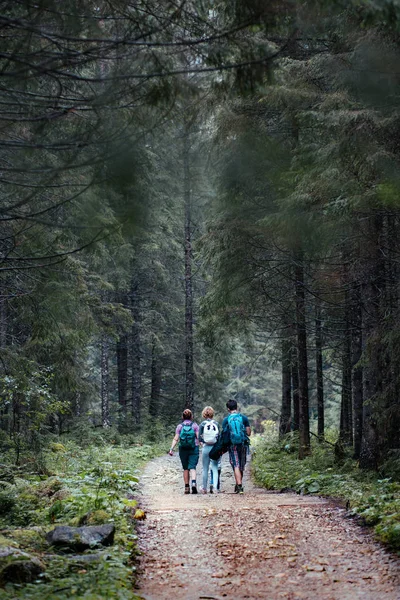 Сім Проходить Через Ліс Витрачати Відпустку Блукання Рюкзаками Лісах — стокове фото