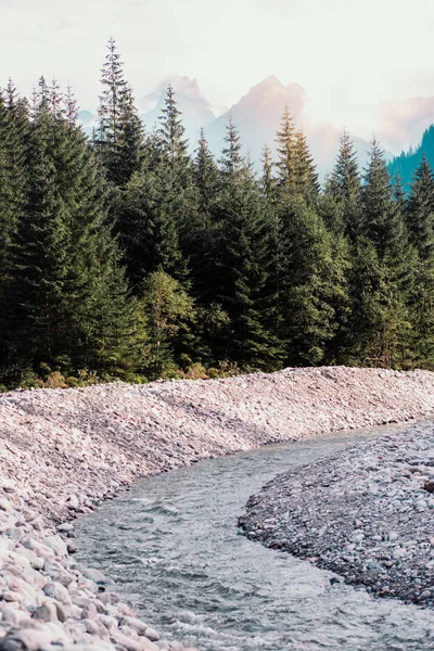 Gebirgsflusslandschaft Naturkulisse Des Gebirgsbaches Kiefern Und Berggipfel Der Tatra — Stockfoto