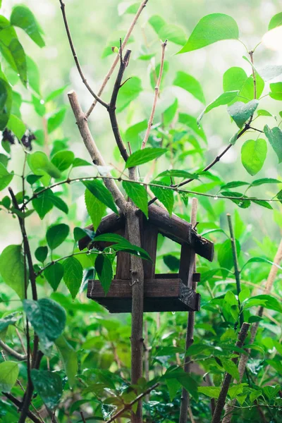Casa Pájaros Árbol Entre Las Hojas Verdes Primavera Refugio Alimentador — Foto de Stock