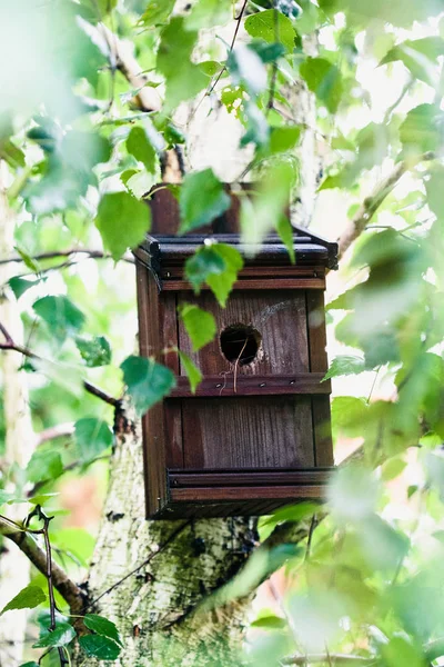 Casa Pássaro Uma Árvore Entre Folhas Verdes Primavera Abrigo Alimentador — Fotografia de Stock