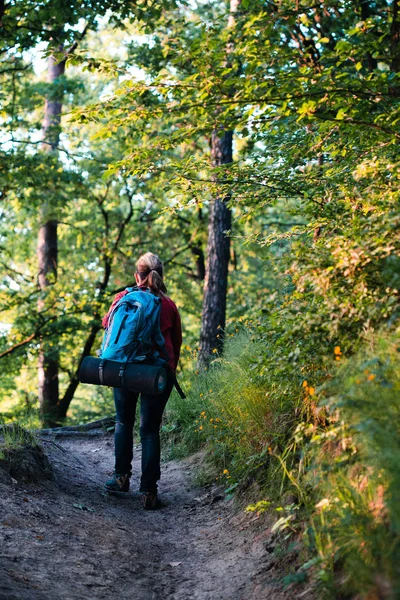 Young woman hiker with backpack walking in forest during summer — Stock Photo, Image