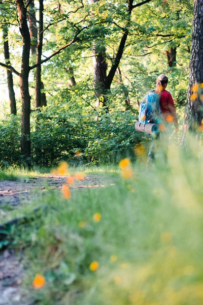 Νεαρή γυναίκα πεζοπόρος με σακίδιο περπατώντας στο δάσος κατά τη διάρκεια του καλοκαιριού — Φωτογραφία Αρχείου