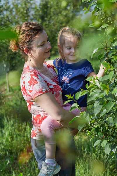 Madre mostrando a su hija cerezas en un huerto —  Fotos de Stock