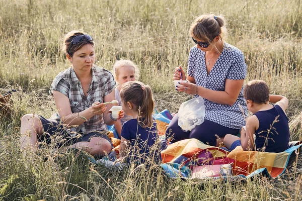 Families spending time together on a meadow