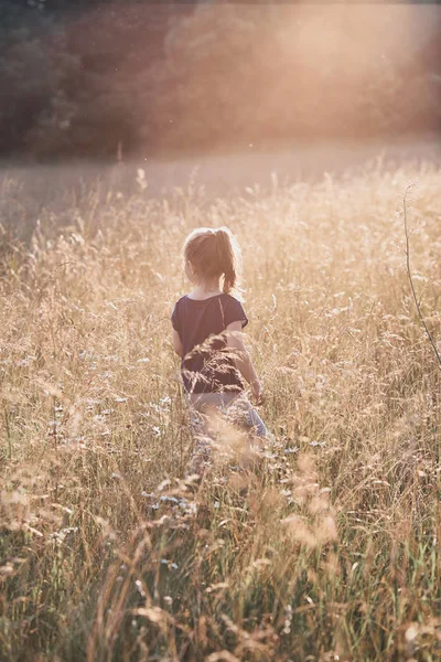 Beetje gelukkig meisje wandelen door een hoog gras in de countrysid — Stockfoto