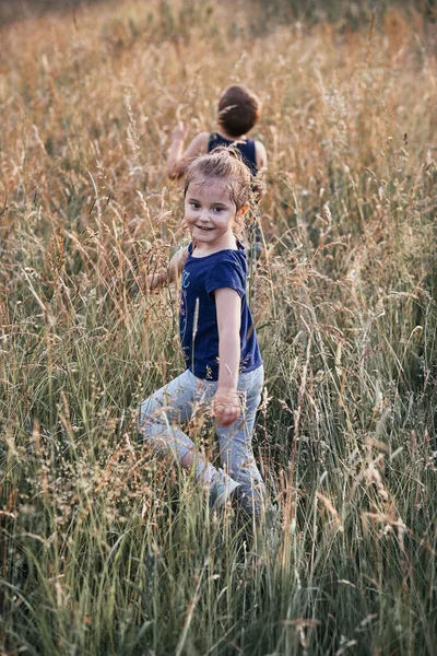 Little happy smiling kids playing in a tall grass — Stock Photo, Image