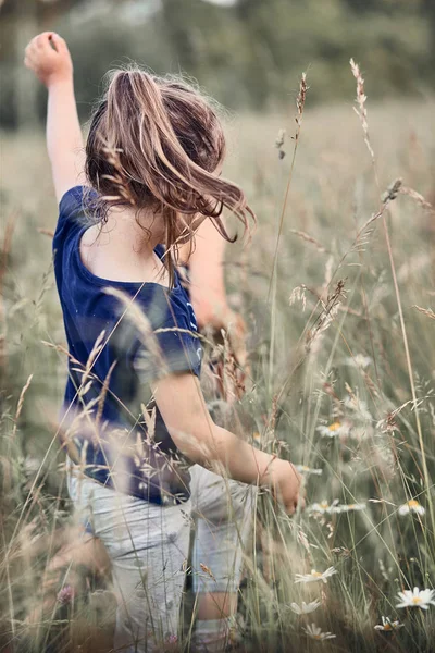 Malá šťastná dívka, co hraje ve vysoké trávě — Stock fotografie