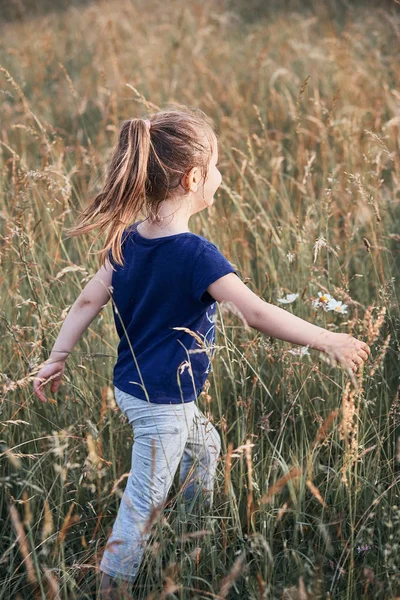 Pieni onnellinen tyttö kävelee pitkin pitkää ruohoa maaseudulla. — kuvapankkivalokuva