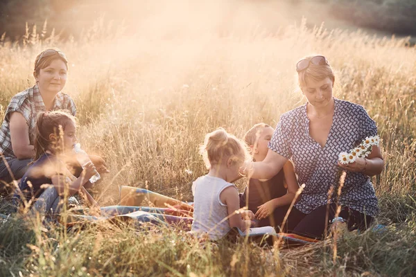 Familia pasando tiempo juntos en un prado —  Fotos de Stock