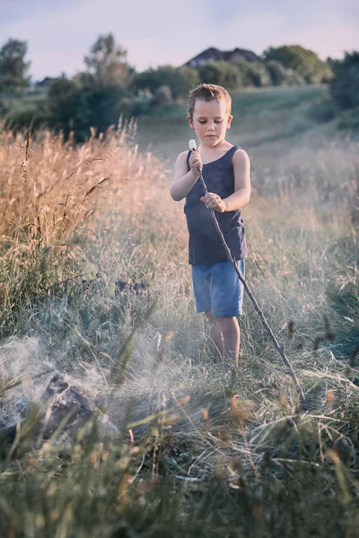 Niño pequeño asando malvavisco sobre una fogata —  Fotos de Stock