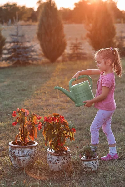 Holčička, která pomáhá vodit květiny — Stock fotografie