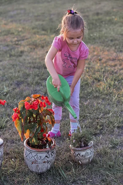 Little girl helping to water the flowers