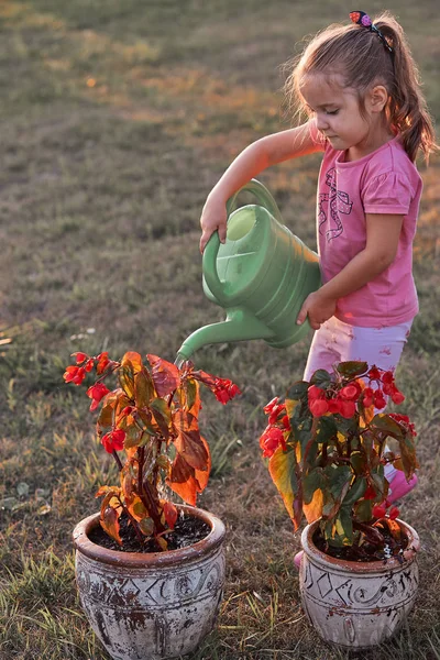 Little girl helping to water the flowers
