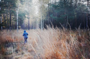 Bir kadın ormana doğru çayırda yürüyor.