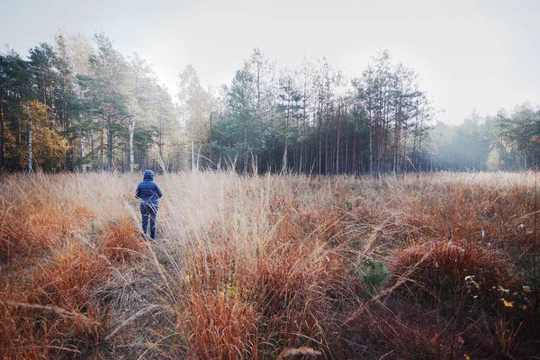 Femme marchant dans une prairie vers une forêt — Photo