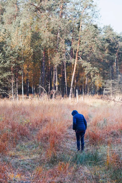 Femme marchant dans une prairie vers une forêt — Photo