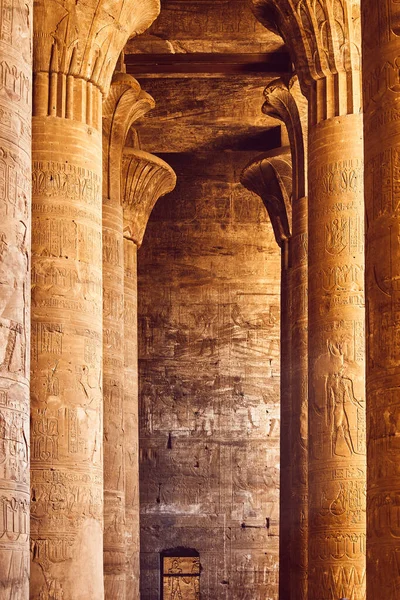 Interiör Forntida Tempel Egypten Pelare Med Egyptiska Hieroglyfer Populärt Egyptiskt — Stockfoto