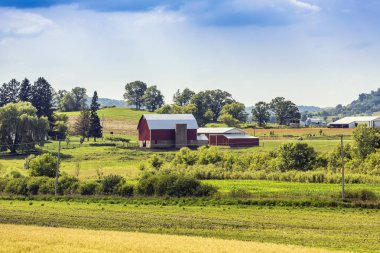 Mavi Sk ile Amerikan Çiftliği