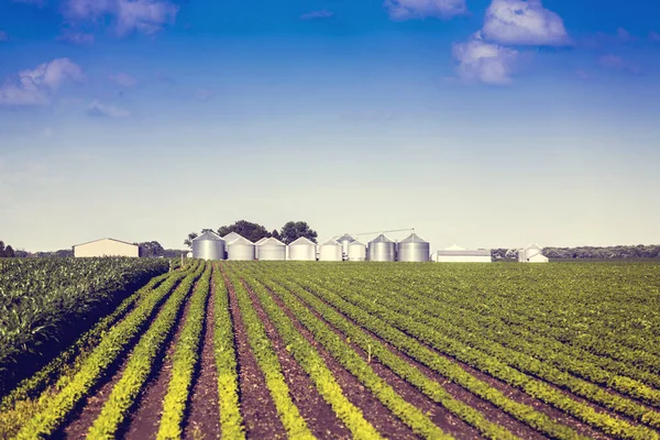 American Farmland Blue Cloudy — Stock Photo, Image