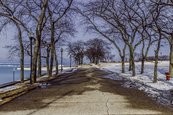 Park Chicago Winter — Stock Photo, Image