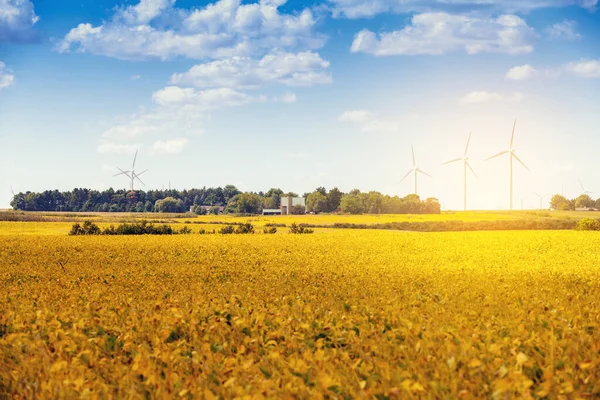 Campagna Americana Parco Eolico — Foto Stock